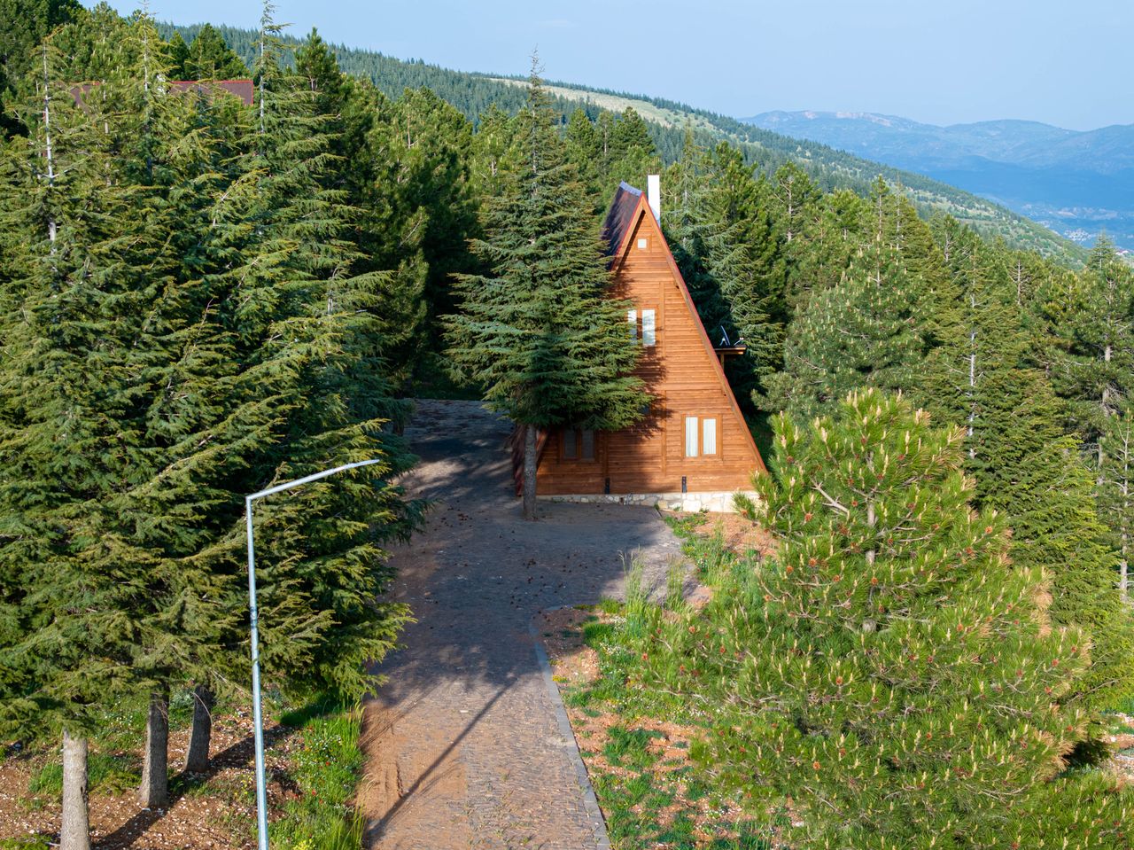 Aerial view of a wooden cabin surrounded by lush pine trees in a serene mountainous landscape.