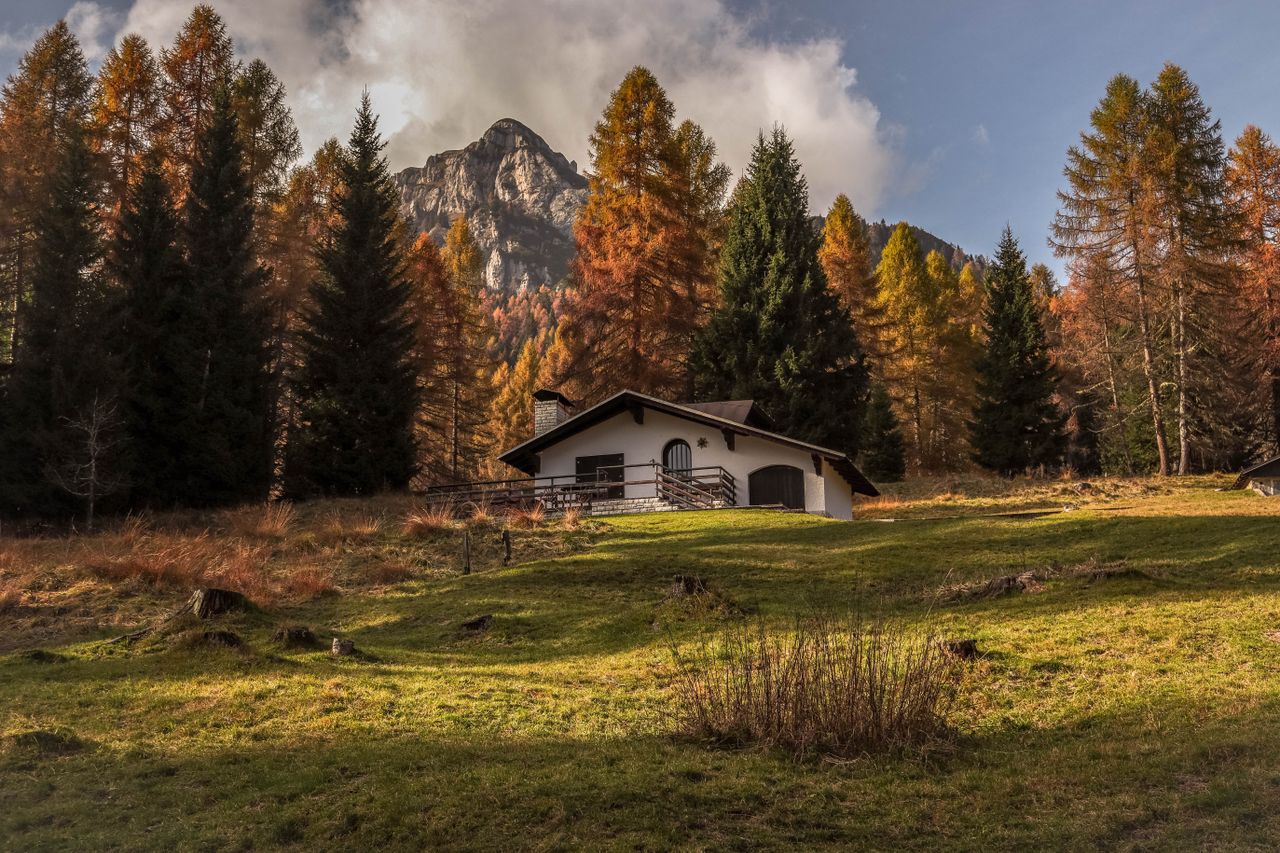 Charming cabin nestled in vibrant autumn forest with mountain backdrop.