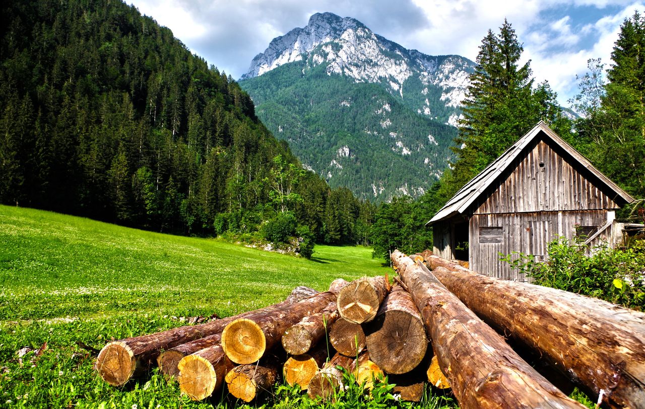 A scenic view of a wooden cabin against lush mountains and forest.
