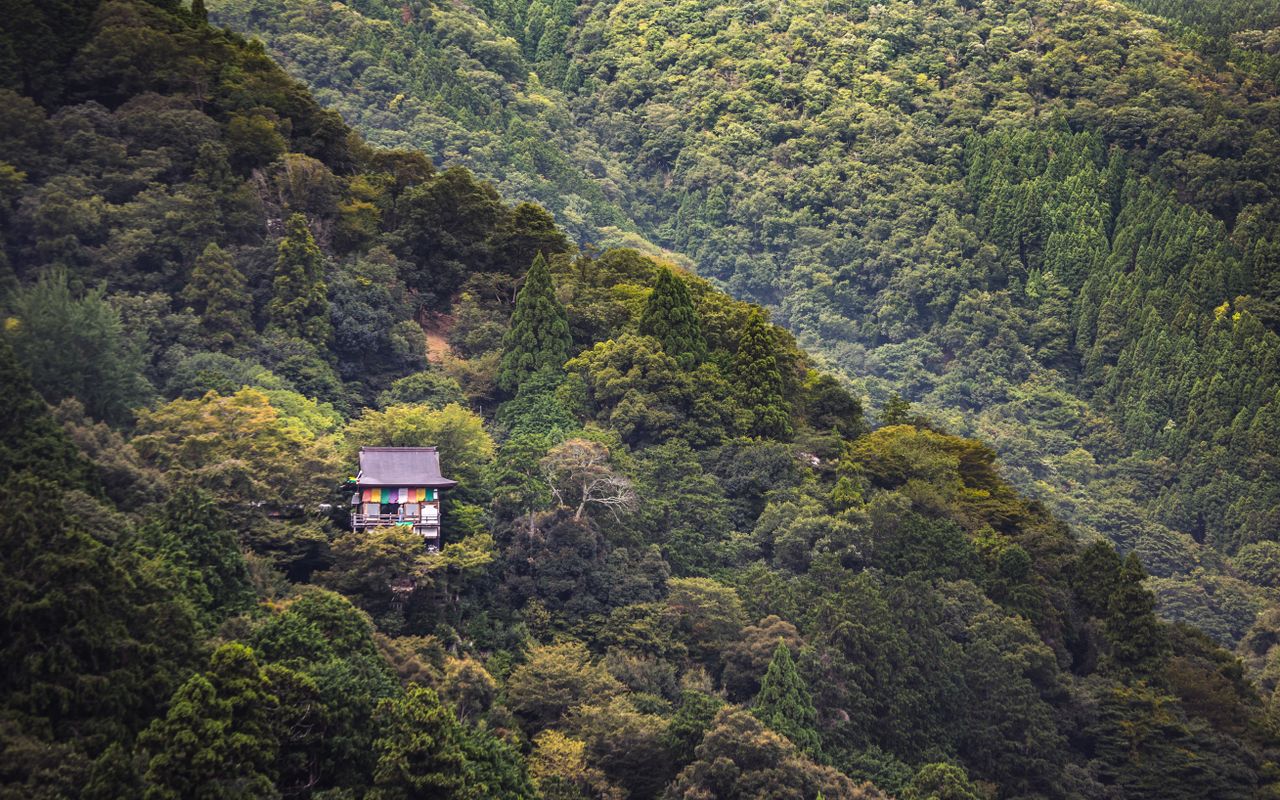 Scenic Japanese house nestled among lush green mountains and dense forests.